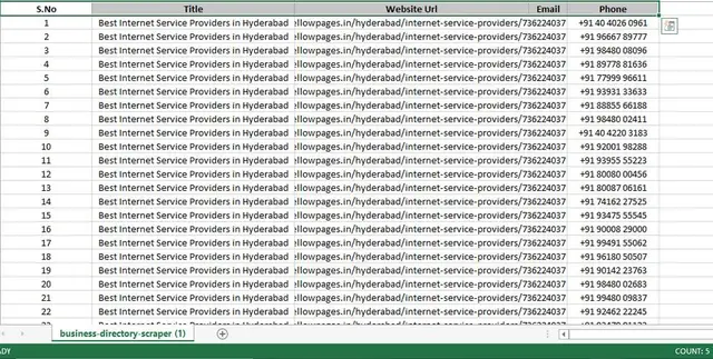 Business Directory Scraper Result