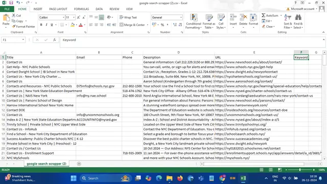 IndiaMart CRM  Result